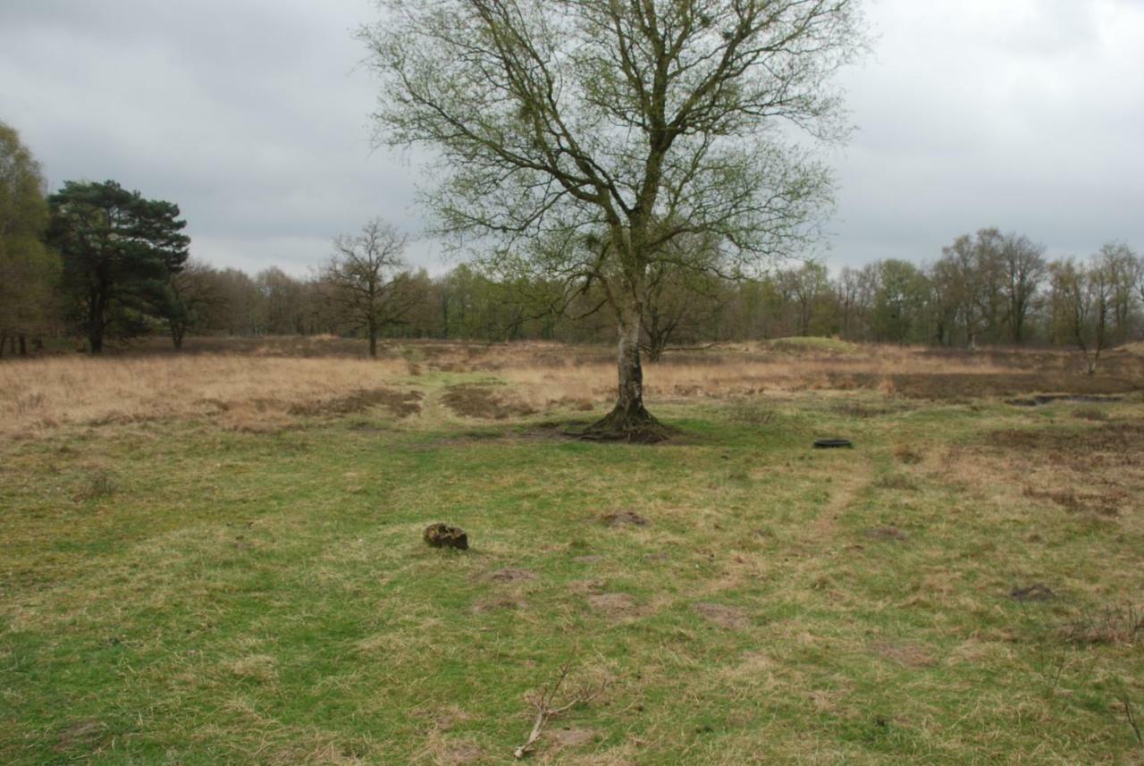 Assen-Groningen-Saunacabine Vries Exteriér fotografie